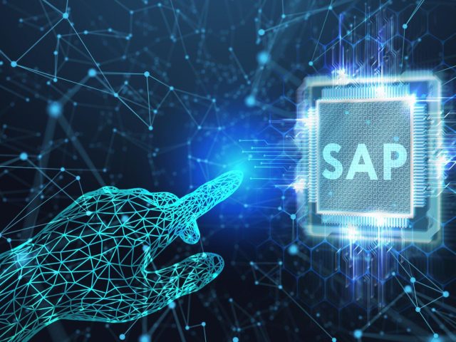 Harnessing the Power of SAP ERP